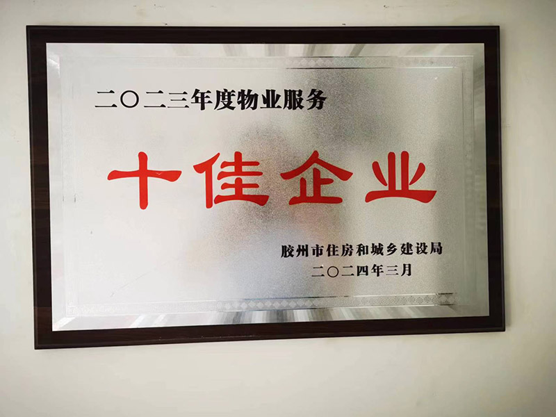 十佳企业